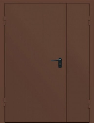552 - ДМТ-02 (техническая дверь, металл-металл, двупольная, любой размер до 2,7 кв.м)
