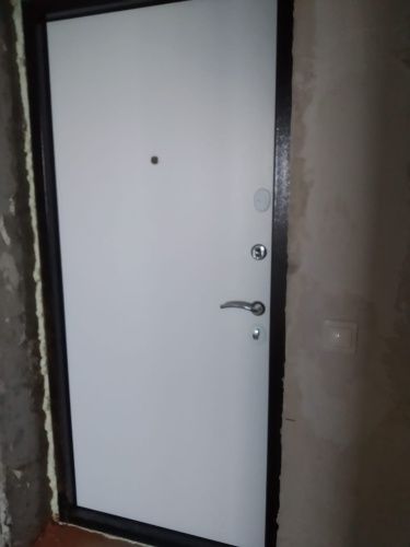 Входная дверь в квартиру Delta-10M Медь Дуб белый матовый фото 5
